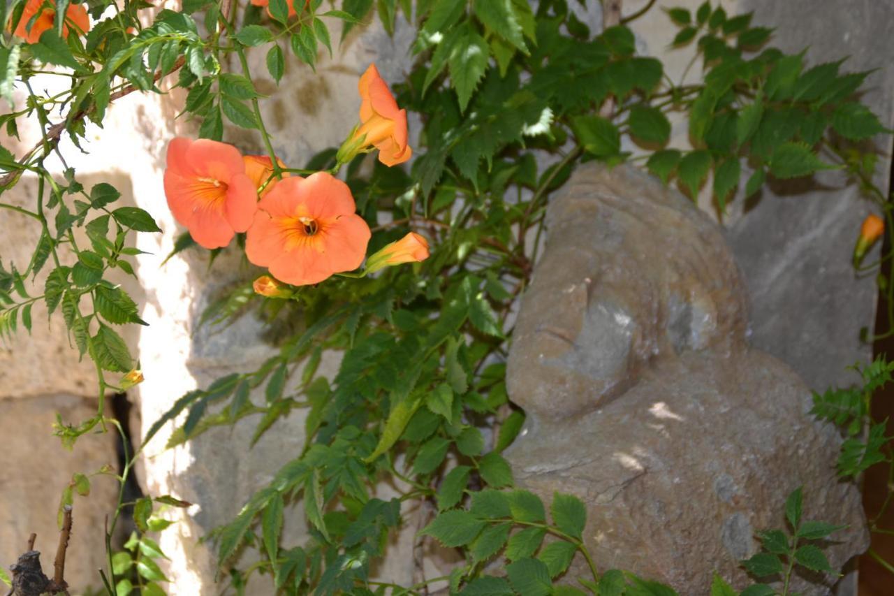 Holidays In Lagrasse Exterior photo