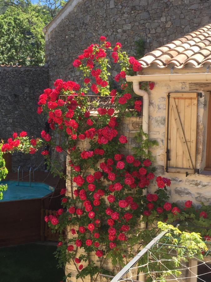 Holidays In Lagrasse Exterior photo